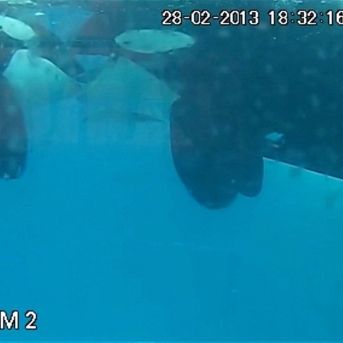 fotonoticia_20250701111835_1920