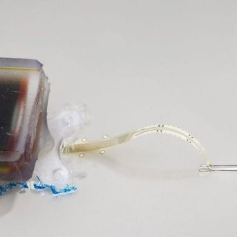 fotonoticia_20250701144105_1920