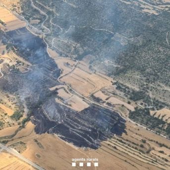 fotonoticia_20250701165613_1920