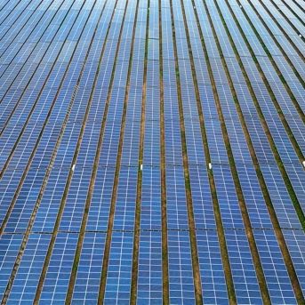 fotonoticia_20250702174050_1920