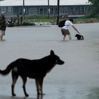 fotonoticia_20250704230036_1920 fotonoticia_20250704230036_1920