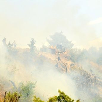 fotonoticia_20250706142344_1920