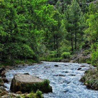 fotonoticia_20250707105241_1920