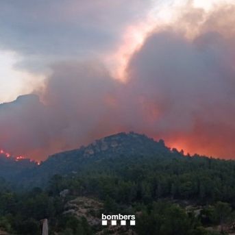 fotonoticia_20250708101407_1920