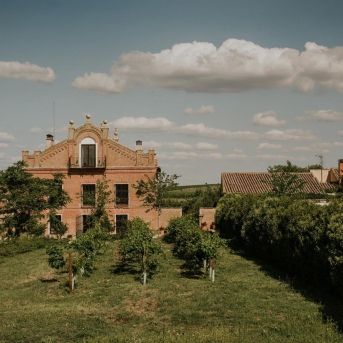 fotonoticia_20250708173830_1920