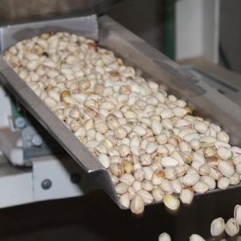 fotonoticia_20250709165616_1920