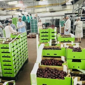 fotonoticia_20250710180506_1920