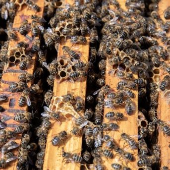 fotonoticia_20250711103925_1920