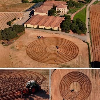 fotonoticia_20250711135725_1920