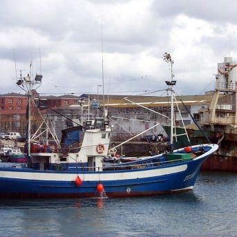 fotonoticia_20250711161922_1920