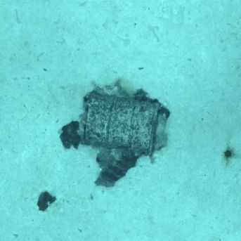 fotonoticia_20250711154954_1920