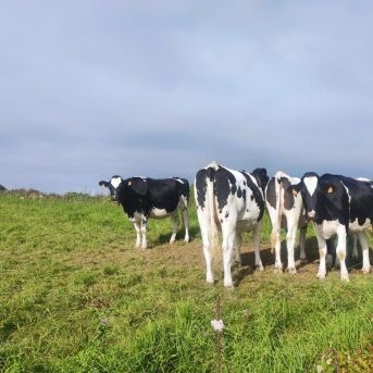 fotonoticia_20250716141520_1920