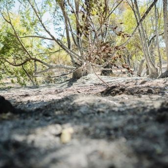 fotonoticia_20250718130816_1920 fotonoticia_20250718130816_1920