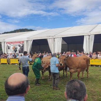 fotonoticia_20250718131454_1920 fotonoticia_20250718131454_1920