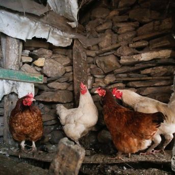 fotonoticia_20250718174437_1920