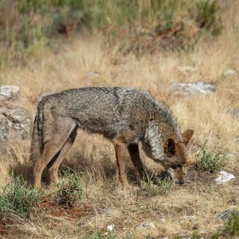 fotonoticia_20250720113055_1920