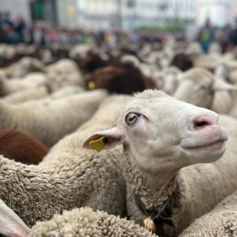 fotonoticia_20250722170308_1920