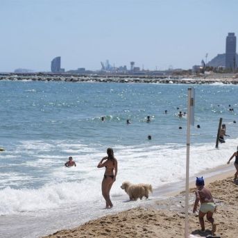 fotonoticia_20250723135301_1920