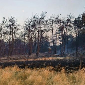 fotonoticia_20250724052737_1920 fotonoticia_20250724052737_1920