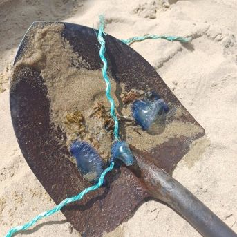 fotonoticia_20250724174445_1920