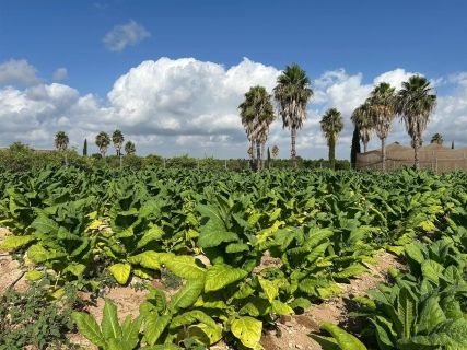 fotonoticia_20250725112407_1920