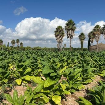 fotonoticia_20250725112407_1920