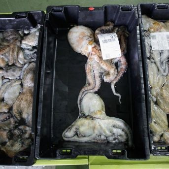 fotonoticia_20250725135721_1920