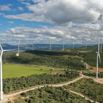 fotonoticia_20250728084319_1920 fotonoticia_20250728084319_1920