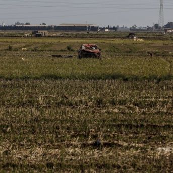 fotonoticia_20250728140544_1920