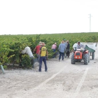 fotonoticia_20250728165314_1920