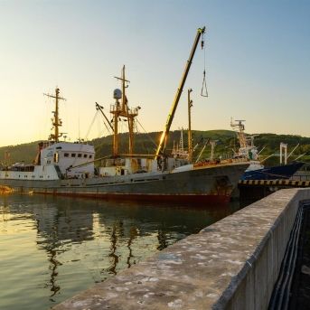 fotonoticia_20250729152440_1920