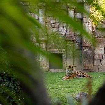 fotonoticia_20250729164936_1920