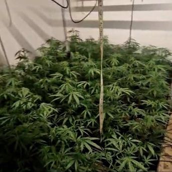 fotonoticia_20250730092028_1920 fotonoticia_20250730092028_1920