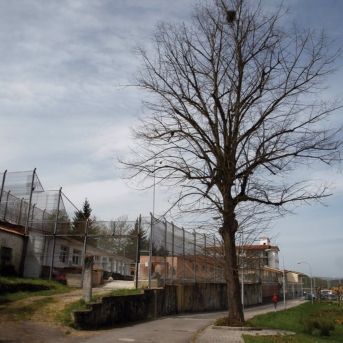 fotonoticia_20250730123110_1920-1