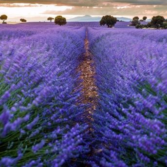 fotonoticia_20250731101159_1920 fotonoticia_20250731101159_1920