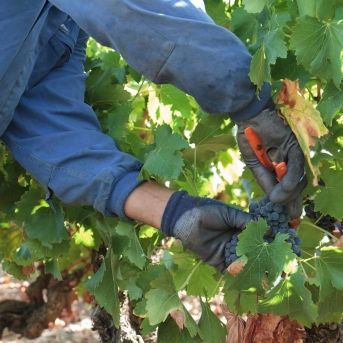 fotonoticia_20250731130926_1920 fotonoticia_20250731130926_1920