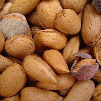 fotonoticia_20250731152600_1920