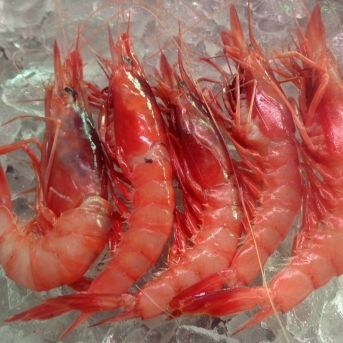 fotonoticia_20250801092108_1920