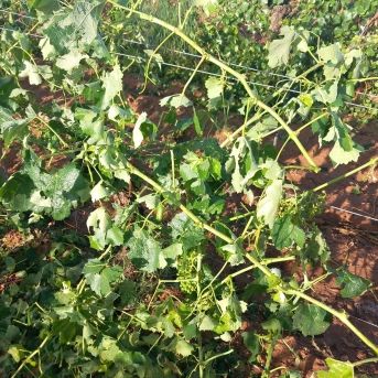 fotonoticia_20250801102534_1920