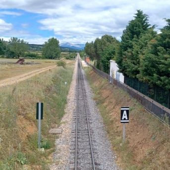 fotonoticia_20250801112032_1920