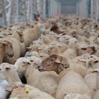 fotonoticia_20250801142203_1920