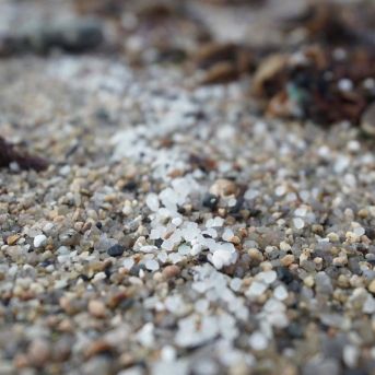 fotonoticia_20250801155628_1920