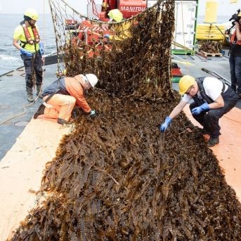 fotonoticia_20250801163934_1920 fotonoticia_20250801163934_1920