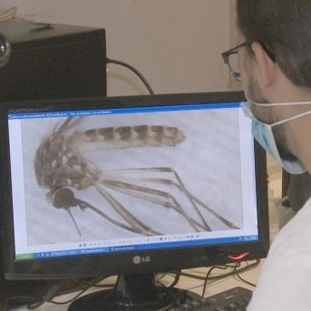 fotonoticia_20250802112949_1920