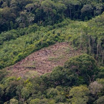 fotonoticia_20250803044224_1920