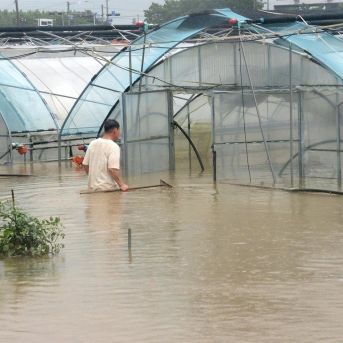 fotonoticia_20250804073309_1920