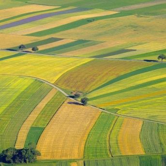 fotonoticia_20250804120906_1920 fotonoticia_20250804120906_1920