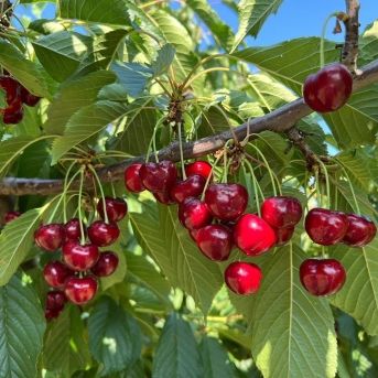 fotonoticia_20250804171121_1920