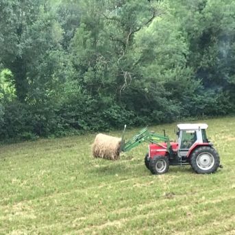 fotonoticia_20250805114104_1920