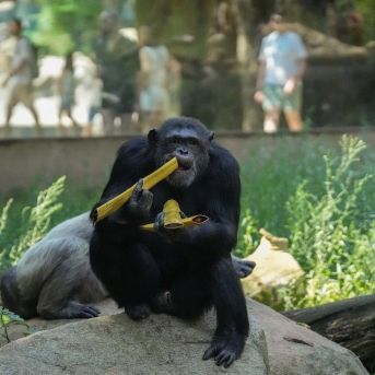 fotonoticia_20250805141257_1920